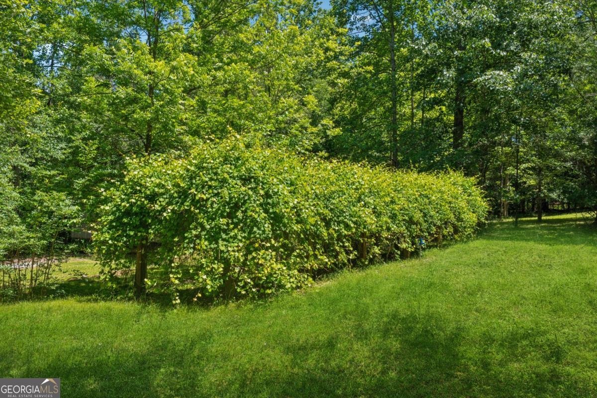 6960 Worley Road Cumming - Photo 35