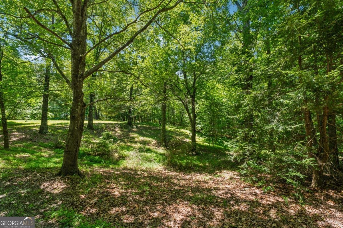 6960 Worley Road Cumming - Photo 37