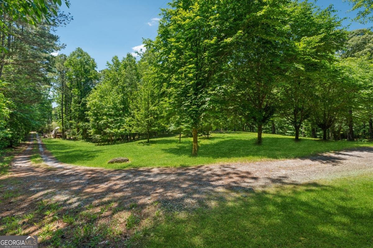 6960 Worley Road Cumming - Photo 38