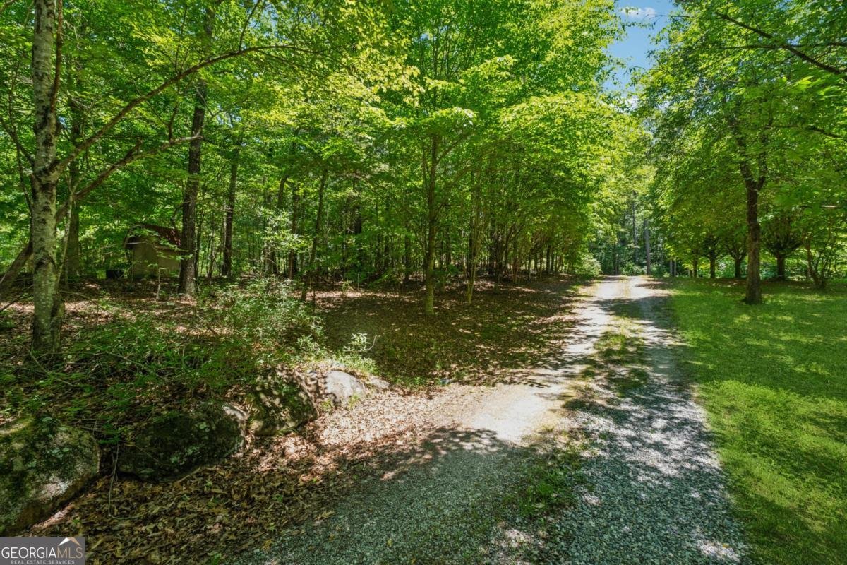 6960 Worley Road Cumming - Photo 41