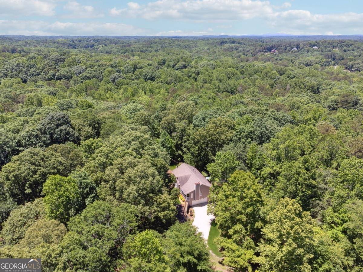 6960 Worley Road Cumming - Photo 42