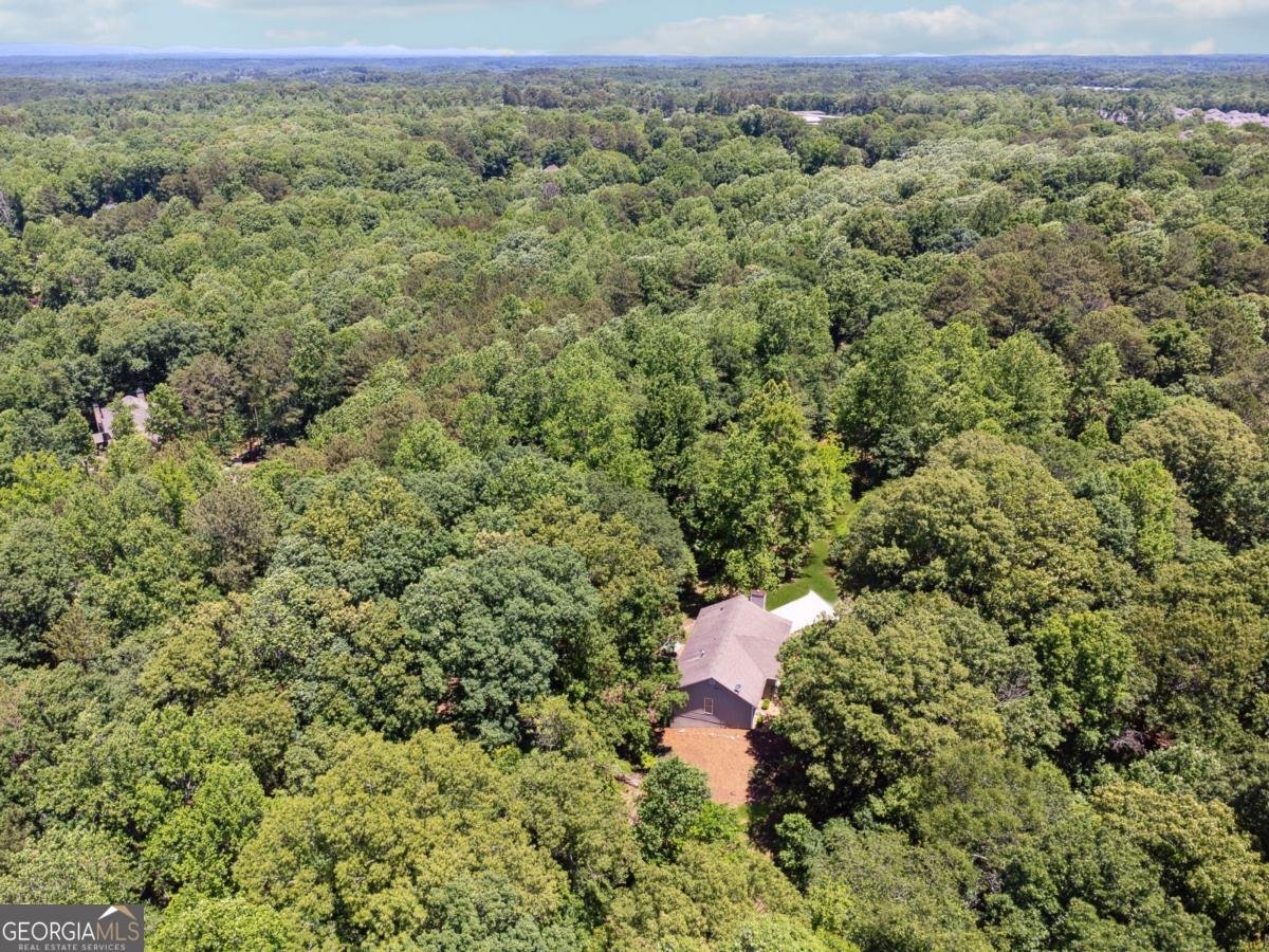 6960 Worley Road Cumming - Photo 43