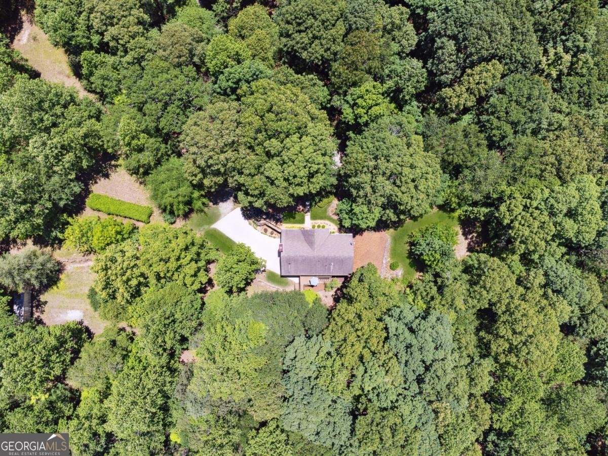 6960 Worley Road Cumming - Photo 44