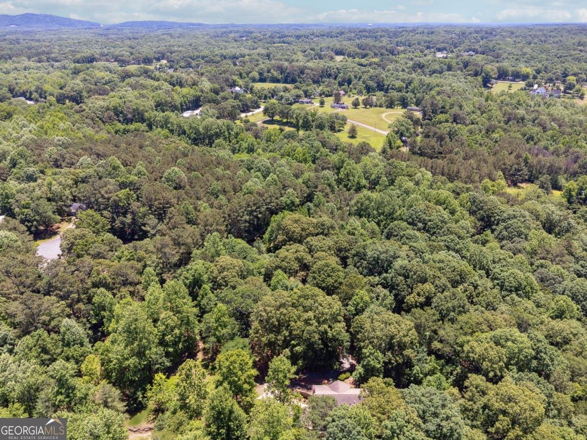 6960 Worley Road Cumming - Photo 45