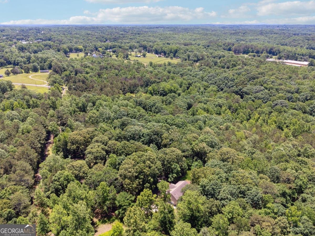 6960 Worley Road Cumming - Photo 46