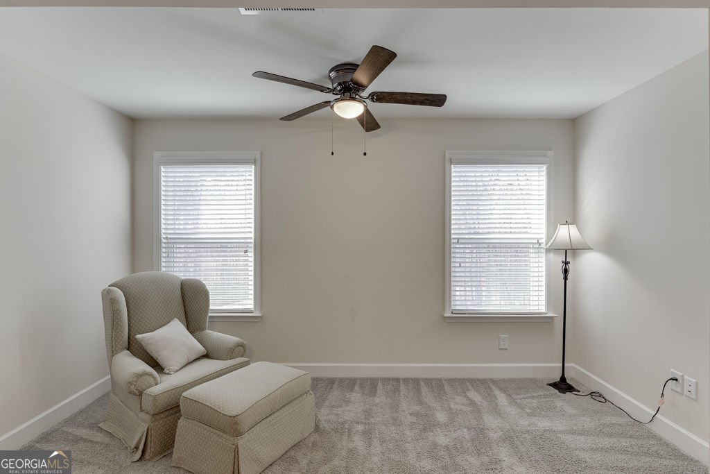 7314 Shady Tree Court Hoschton - Photo 34