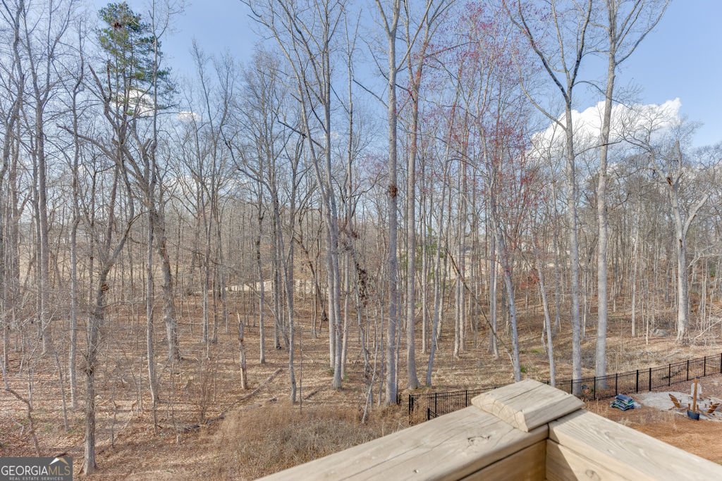 7314 Shady Tree Court Hoschton - Photo 55