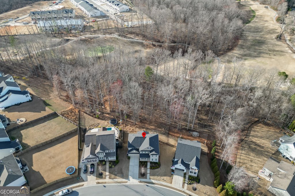 7314 Shady Tree Court Hoschton - Photo 59