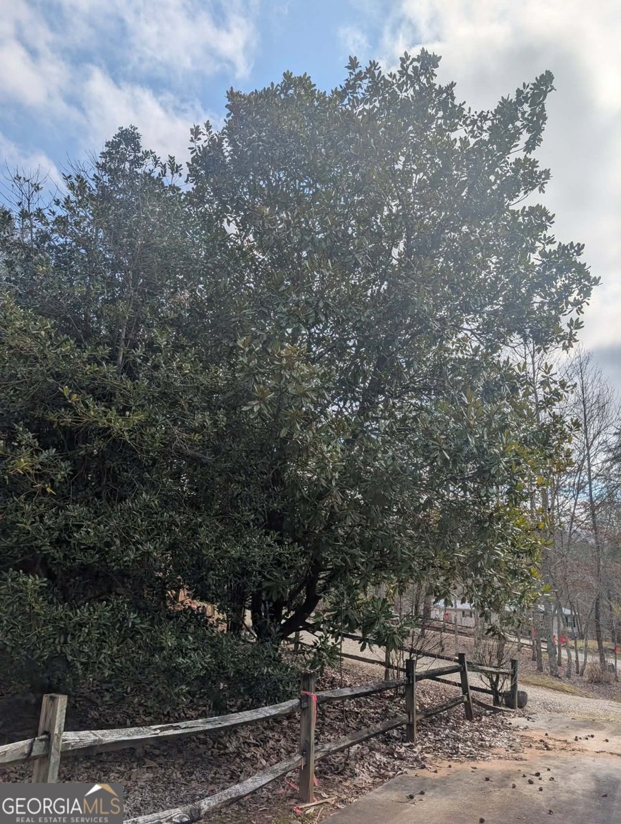 53 Stonebrook Lane Blairsville - Photo 17