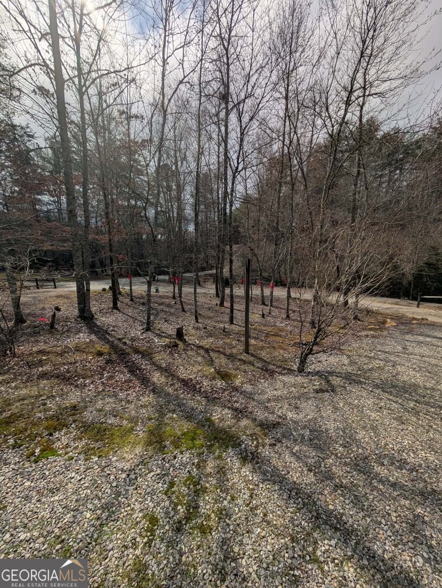 53 Stonebrook Lane Blairsville - Photo 19