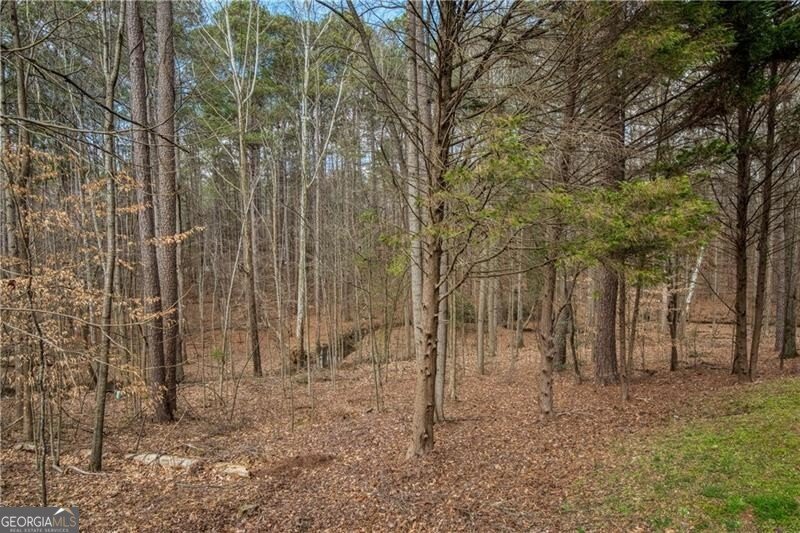 1220 Wynridge Crossing Alpharetta - Photo 55