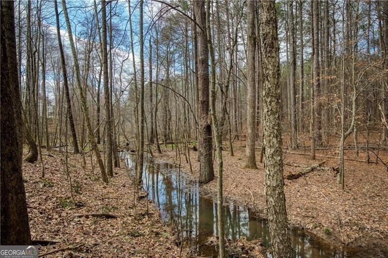 1220 Wynridge Crossing Alpharetta - Photo 56