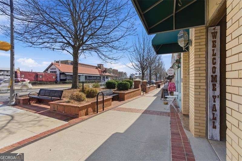 312 Lantana Lane Woodstock - Photo 42