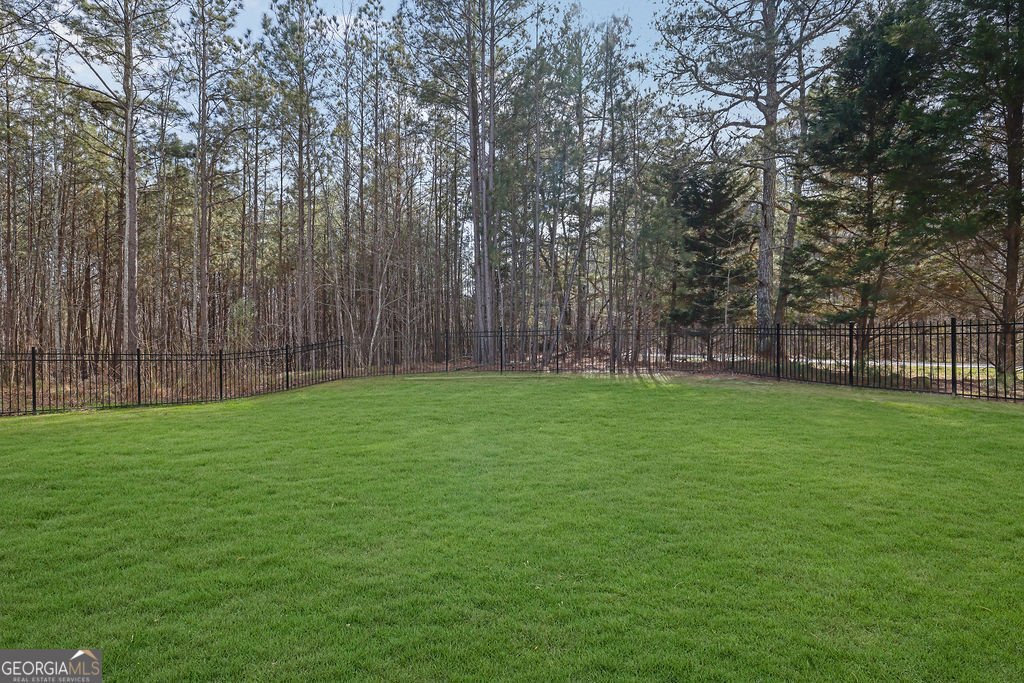 3298 Alcovy Club Court Dacula - Photo 44