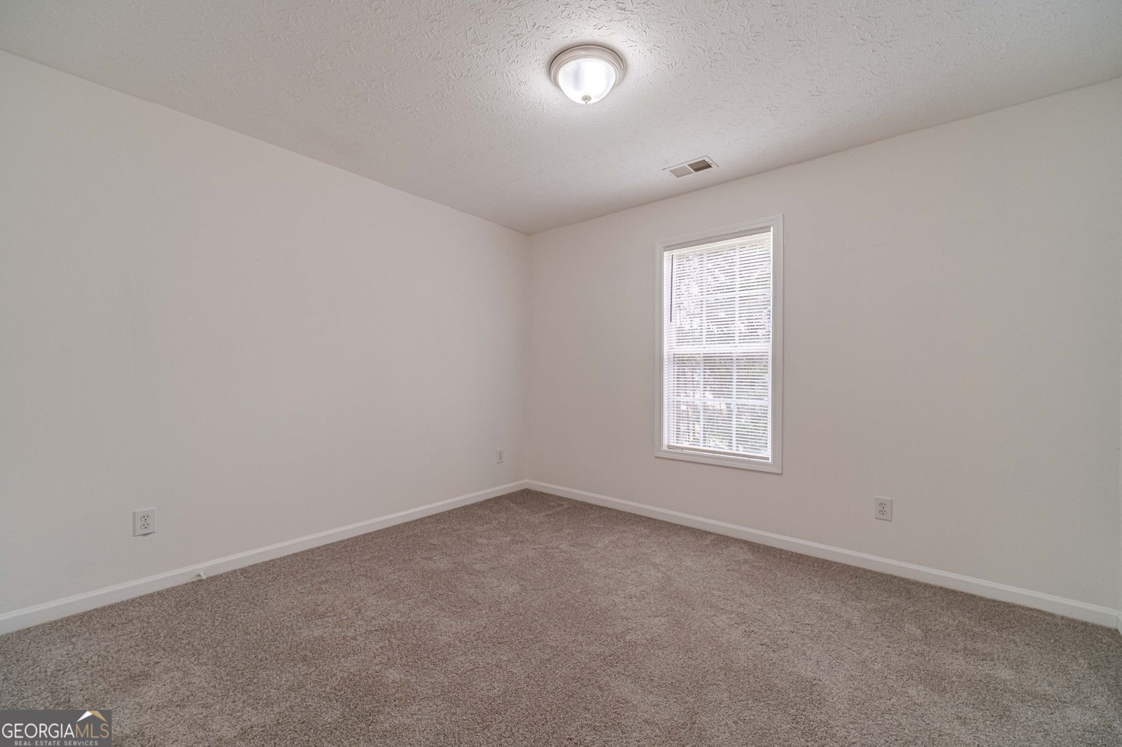 522 Towler Shoals View Loganville - Photo 26