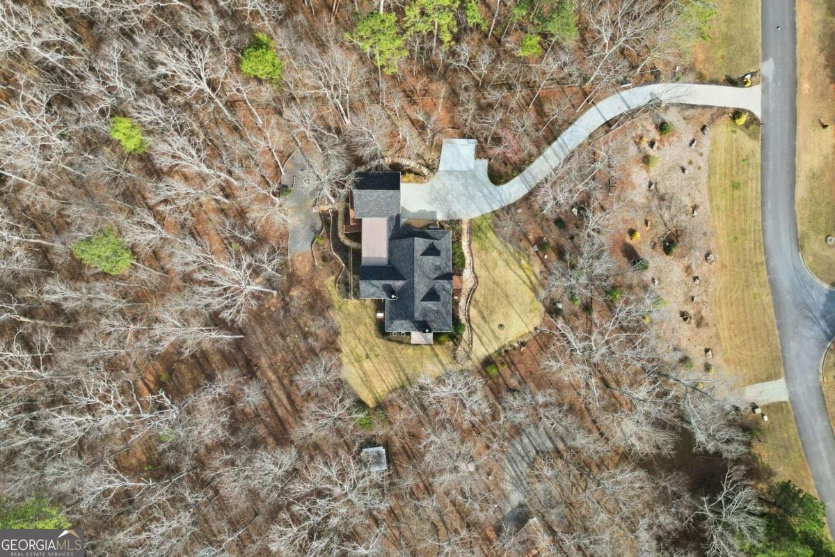 217 Wild Turkey Ridge Ball Ground - Photo 12