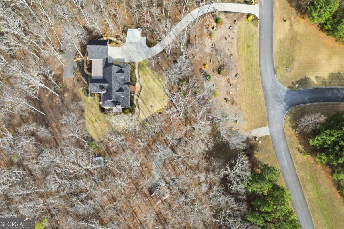 217 Wild Turkey Ridge Ball Ground - Photo 63