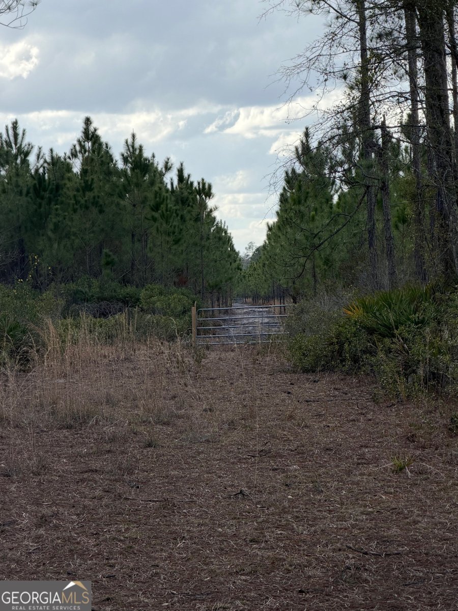 6642 Old Moniac Road St. George - Photo 24