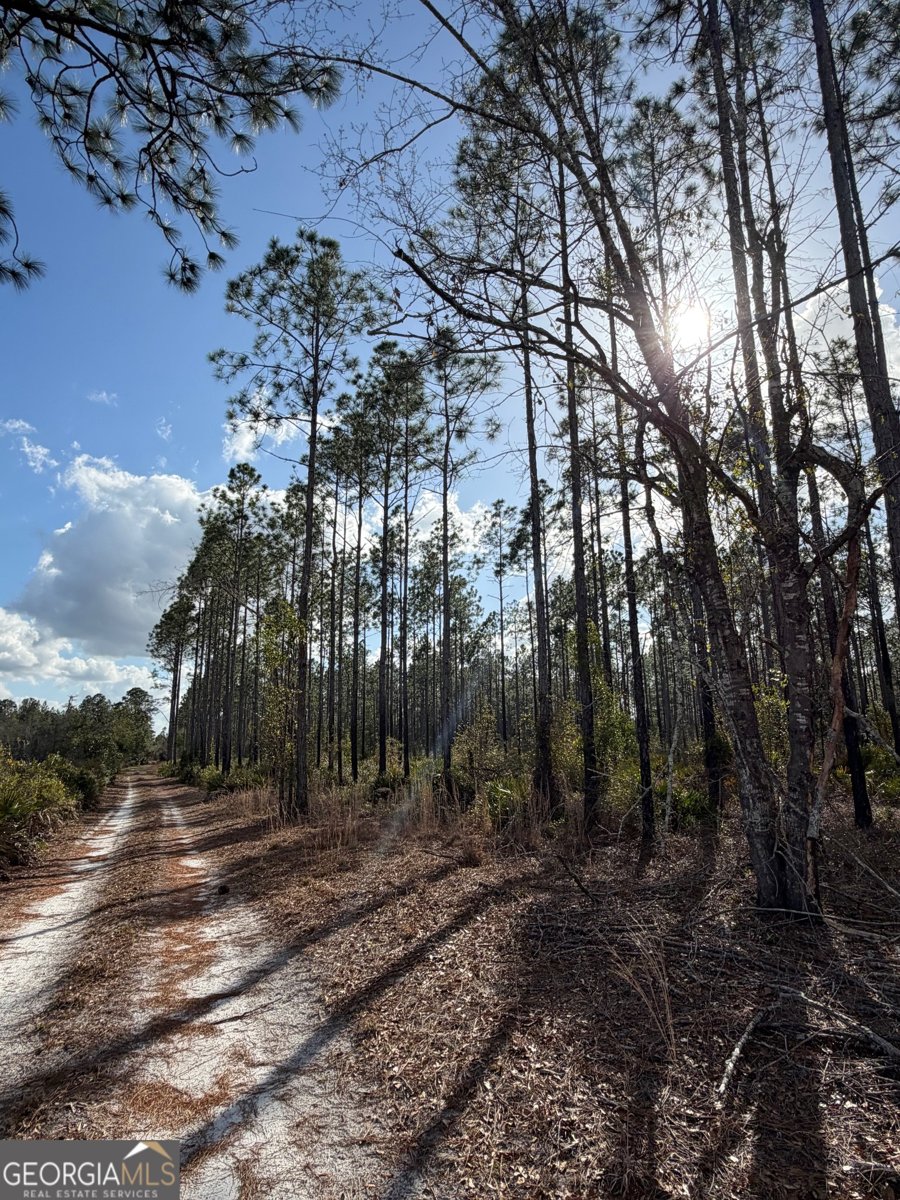 6642 Old Moniac Road St. George - Photo 25