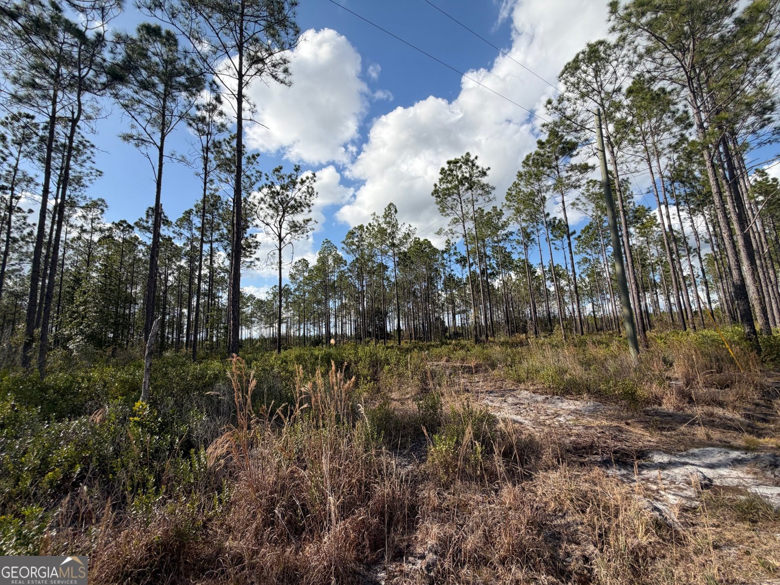 6642 Old Moniac Road St. George - Photo 26