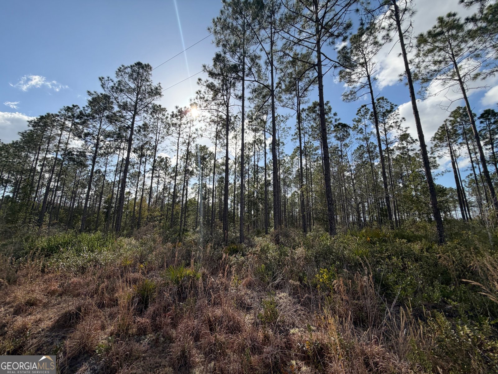 6642 Old Moniac Road St. George - Photo 27