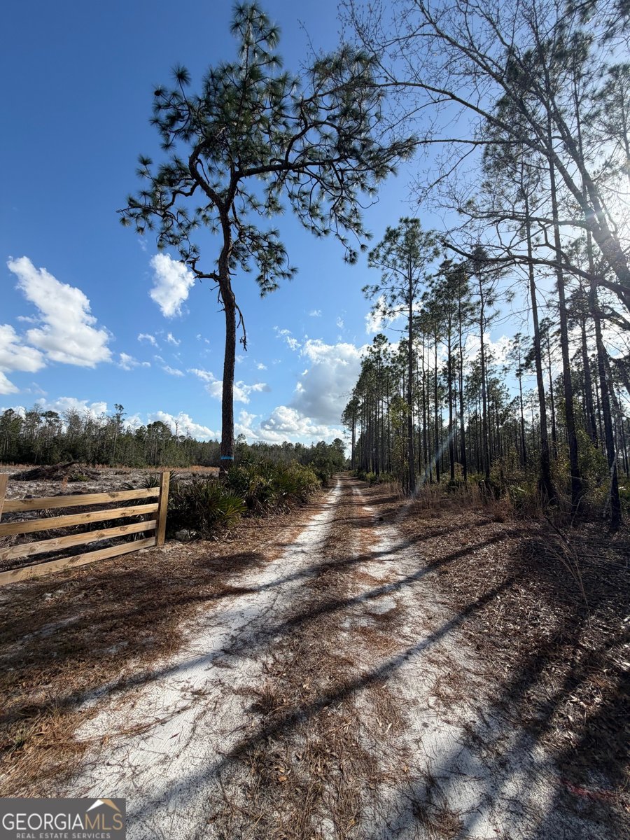 6642 Old Moniac Road St. George - Photo 28