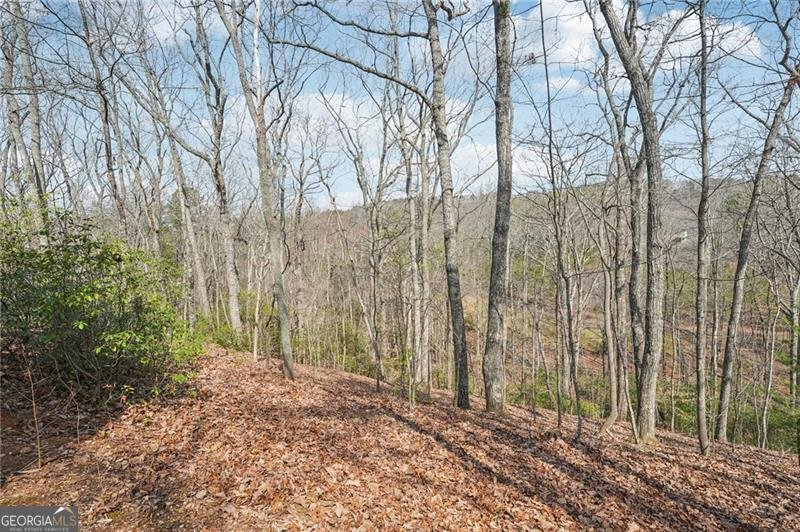 29 Red Trillium Ridge Jasper - Photo 58