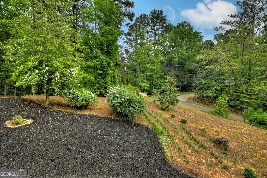 293 James Drive Ellijay - Photo 37