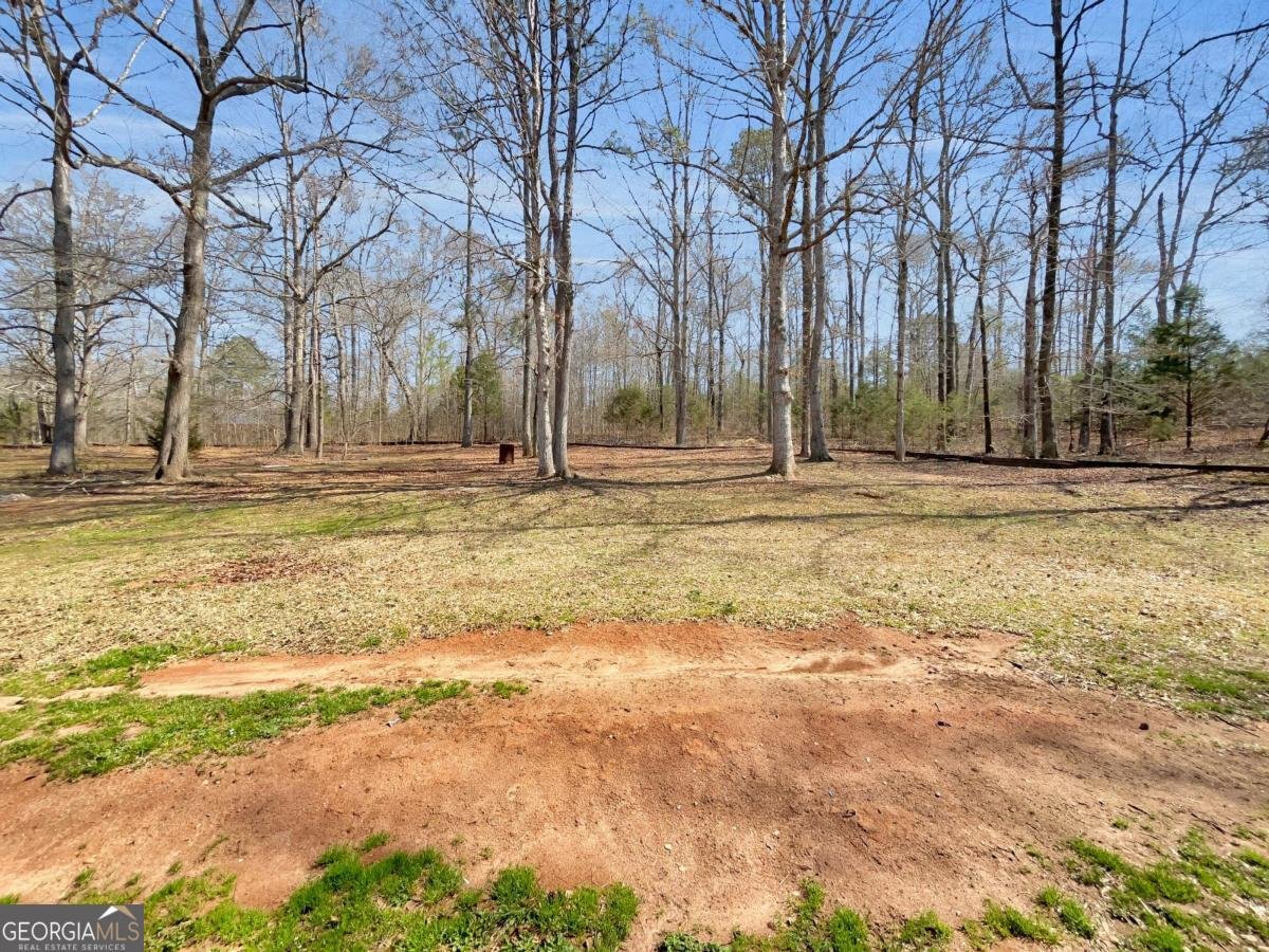 255 Big Oak Circle Athens - Photo 27