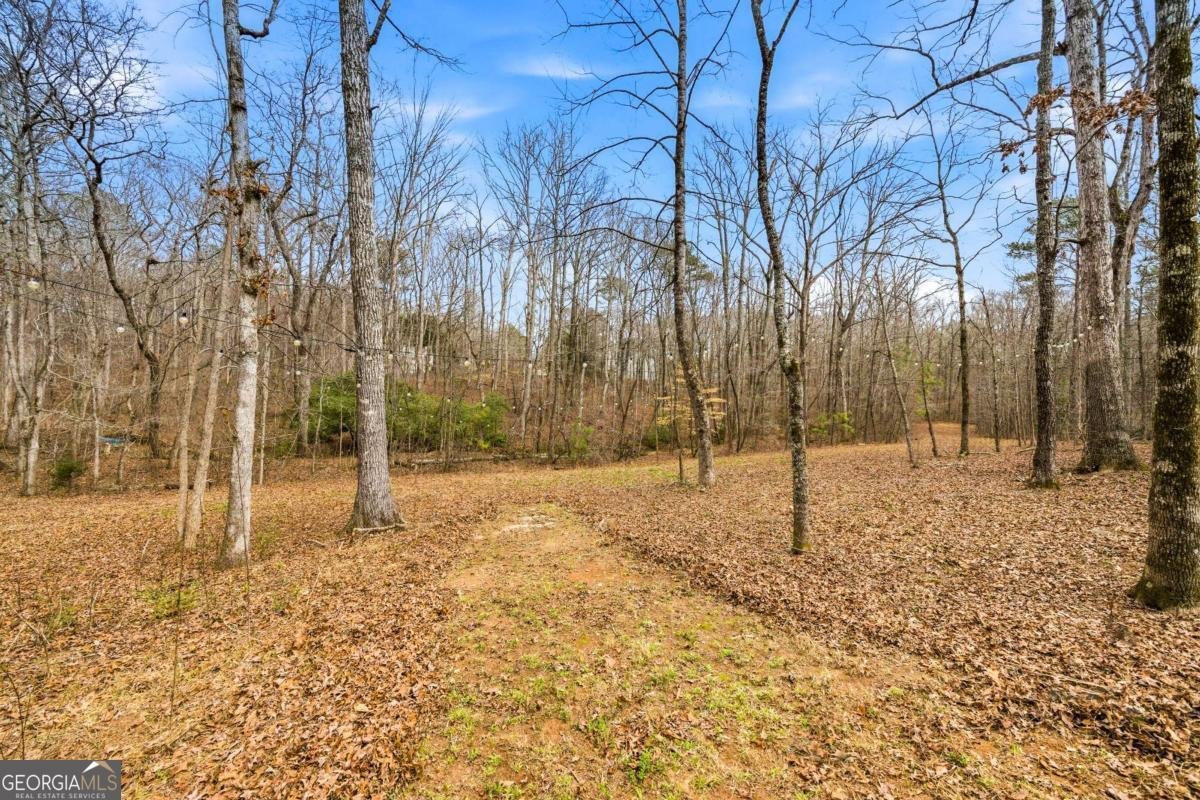 4581 Cougar Trail Douglasville - Photo 42