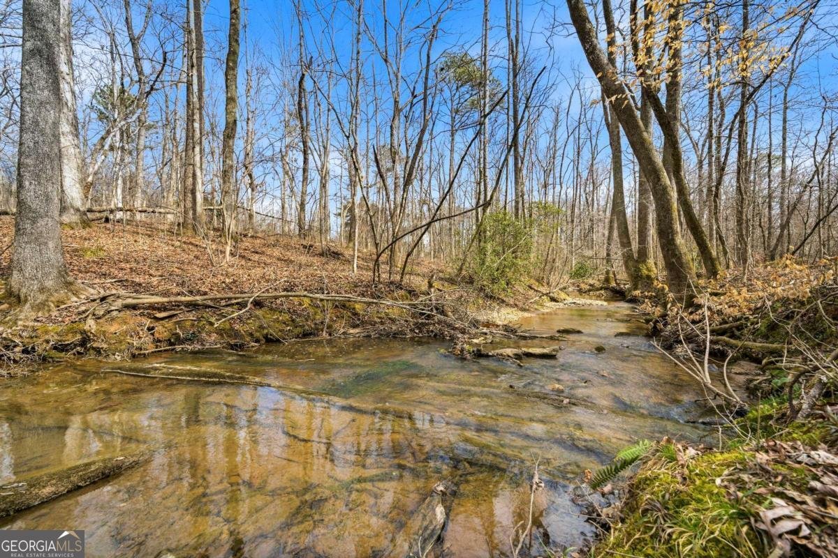 4581 Cougar Trail Douglasville - Photo 43