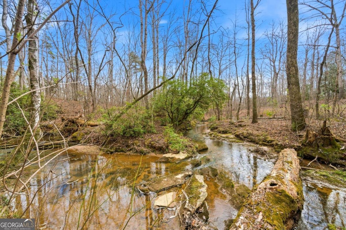 4581 Cougar Trail Douglasville - Photo 44