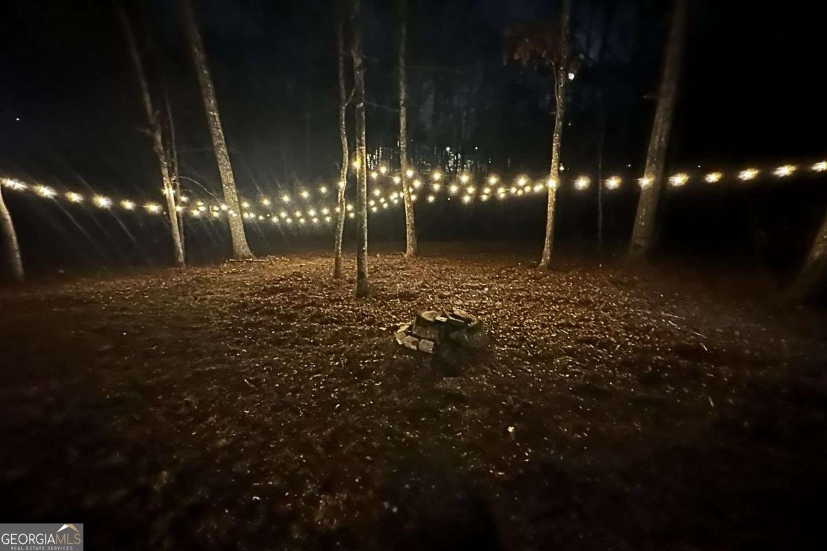 4581 Cougar Trail Douglasville - Photo 46