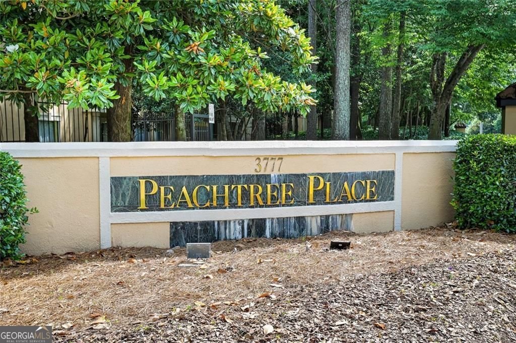 3777 Peachtree Road Brookhaven - Photo 33