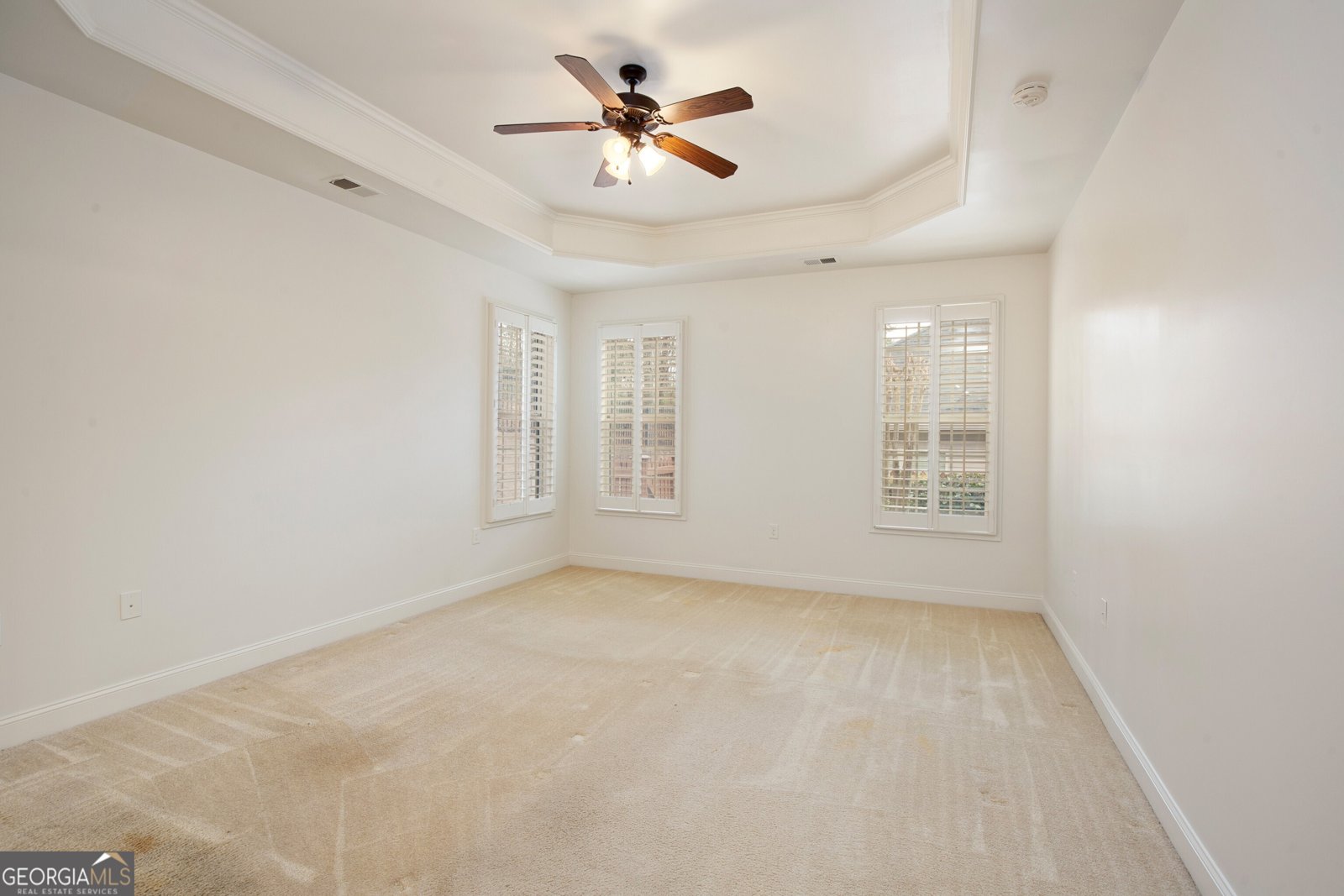 171 Owens Farm Lane Woodstock - Photo 32