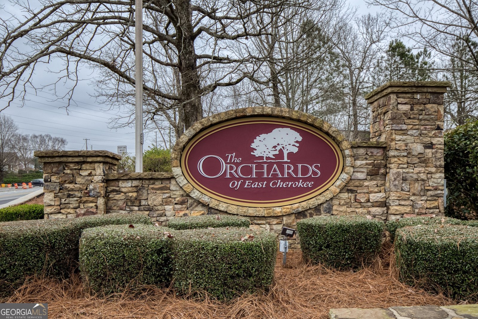 171 Owens Farm Lane Woodstock - Photo 54