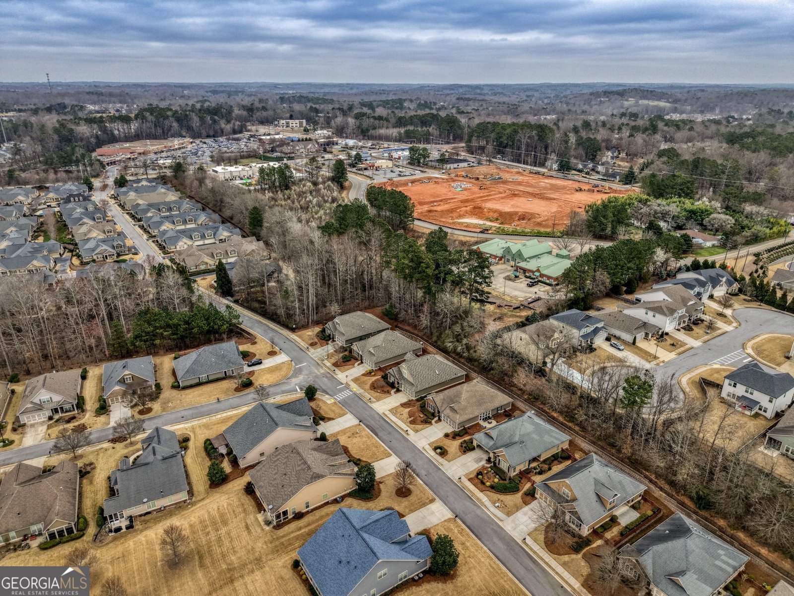 171 Owens Farm Lane Woodstock - Photo 60