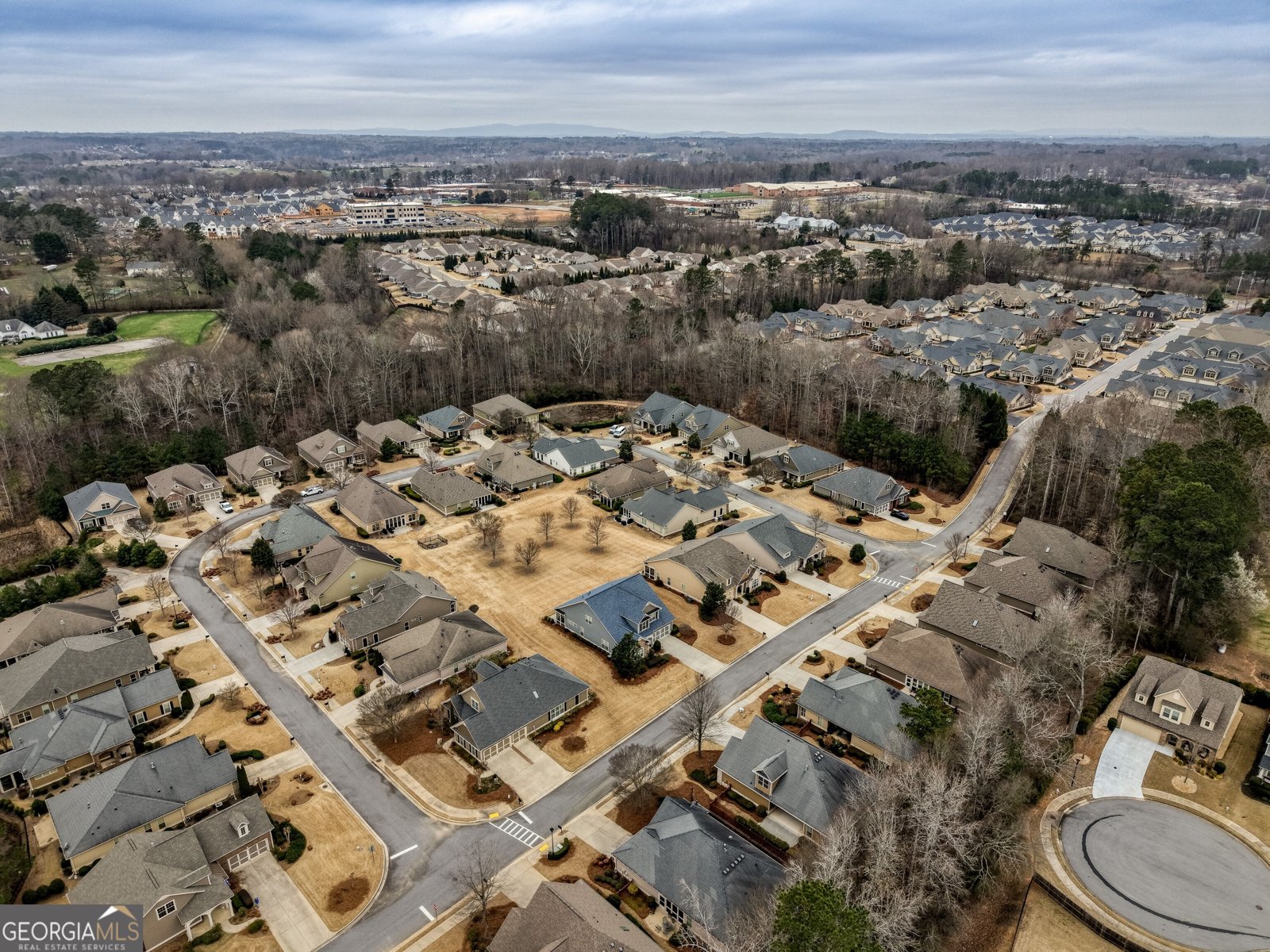171 Owens Farm Lane Woodstock - Photo 61