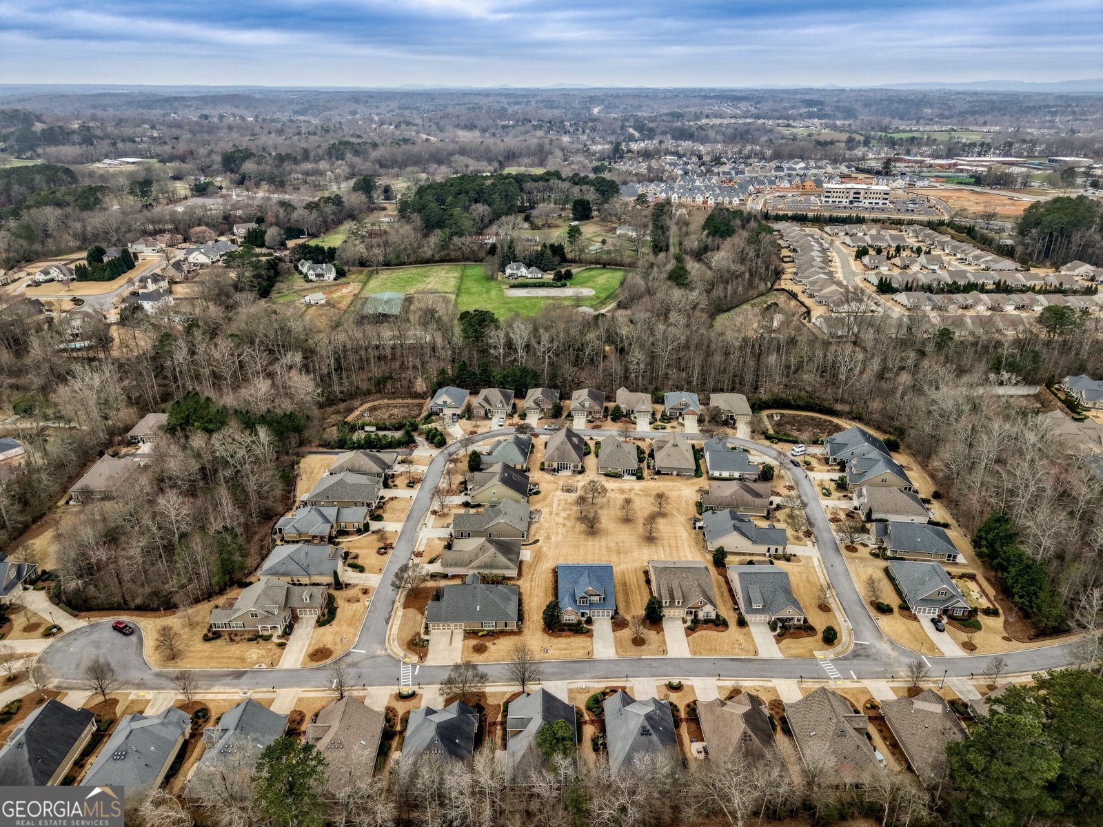 171 Owens Farm Lane Woodstock - Photo 62