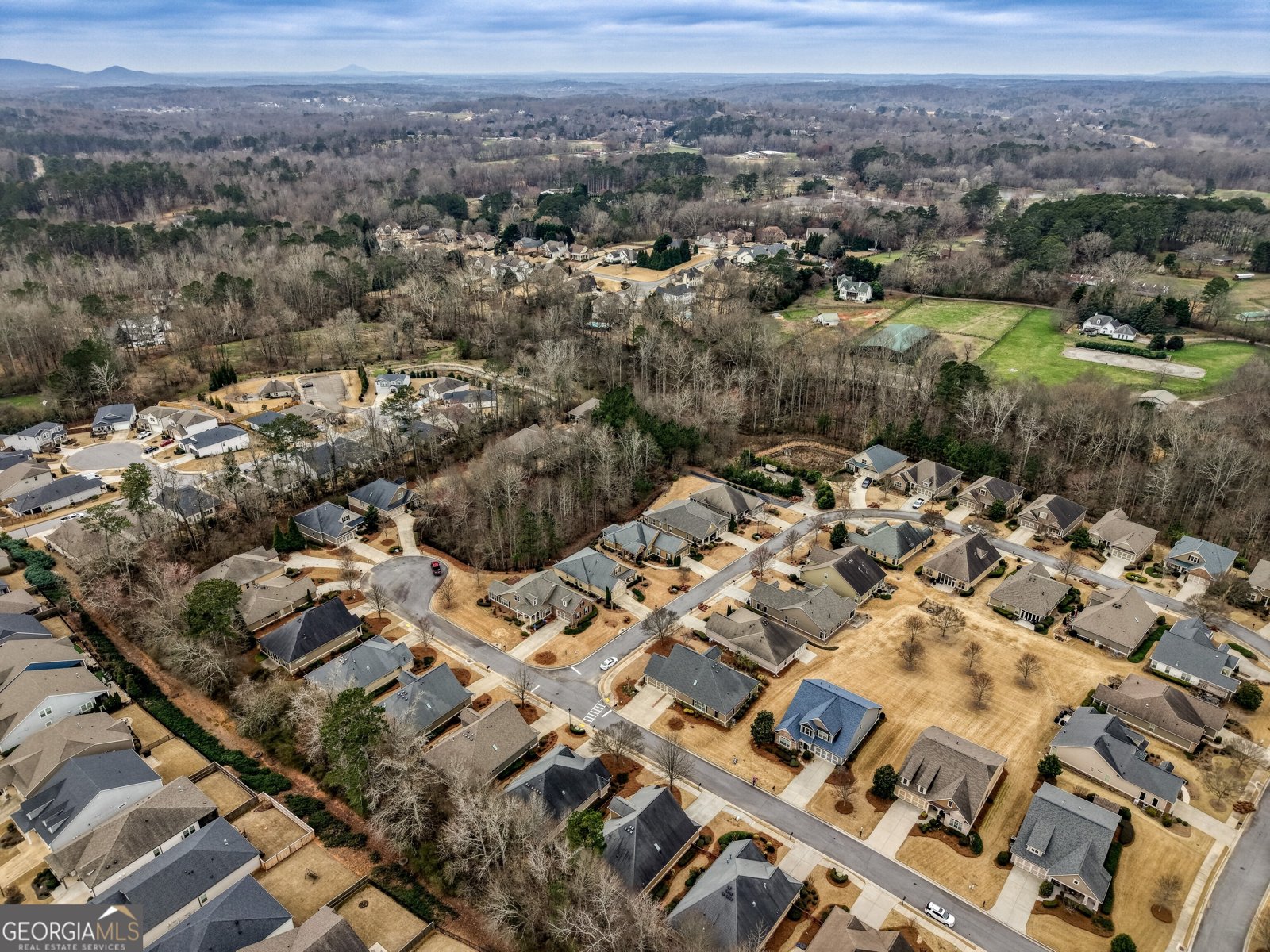 171 Owens Farm Lane Woodstock - Photo 63