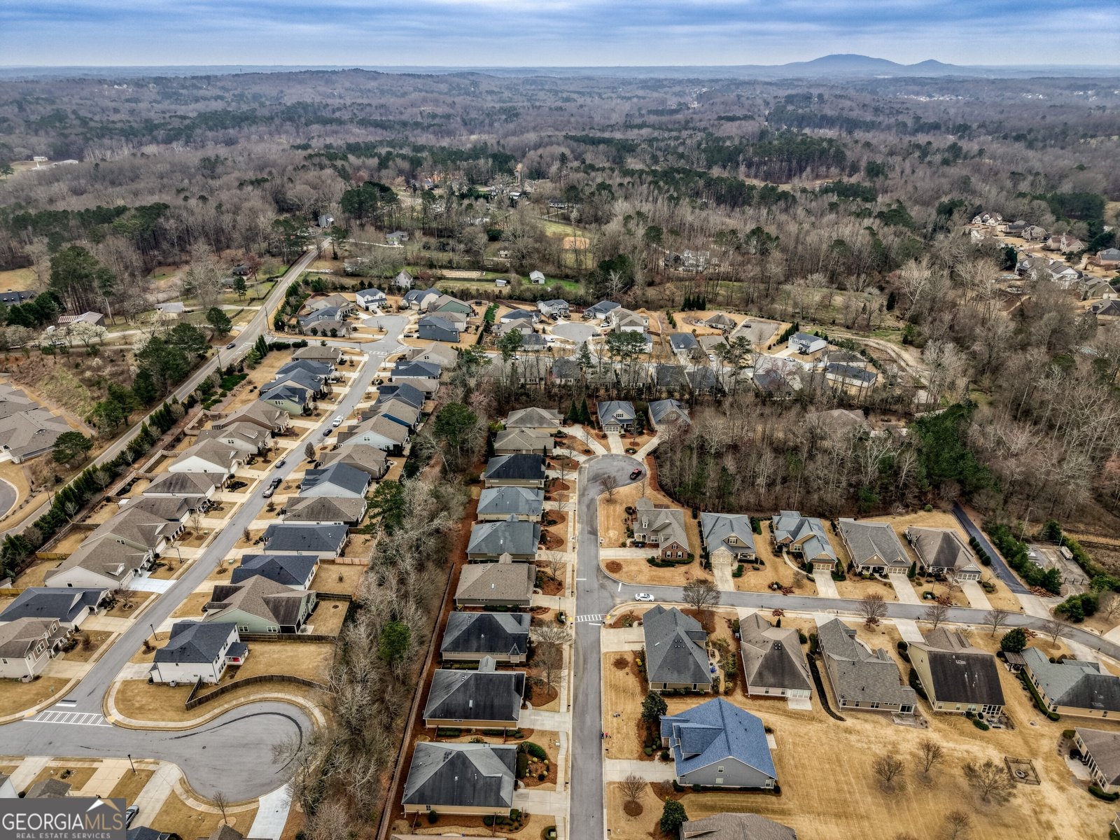 171 Owens Farm Lane Woodstock - Photo 64