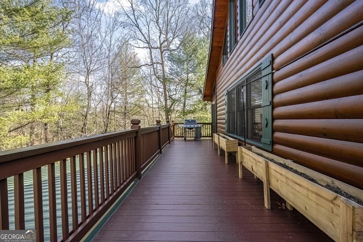 225 Hiawatha Trail Blue Ridge - Photo 33