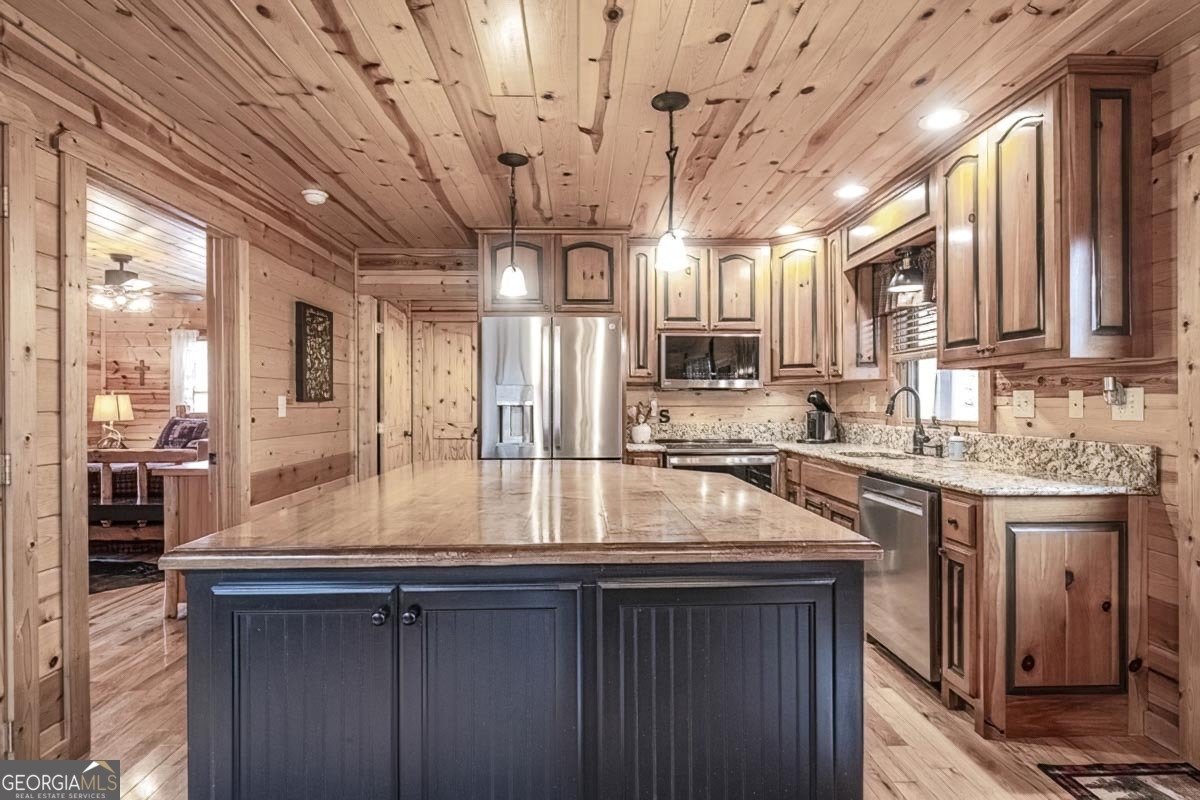 225 Hiawatha Trail Blue Ridge - Photo 9