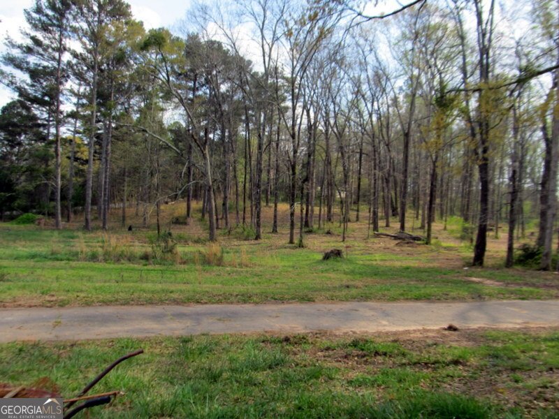 632 Flat Shoals Church Road Stockbridge - Photo 35