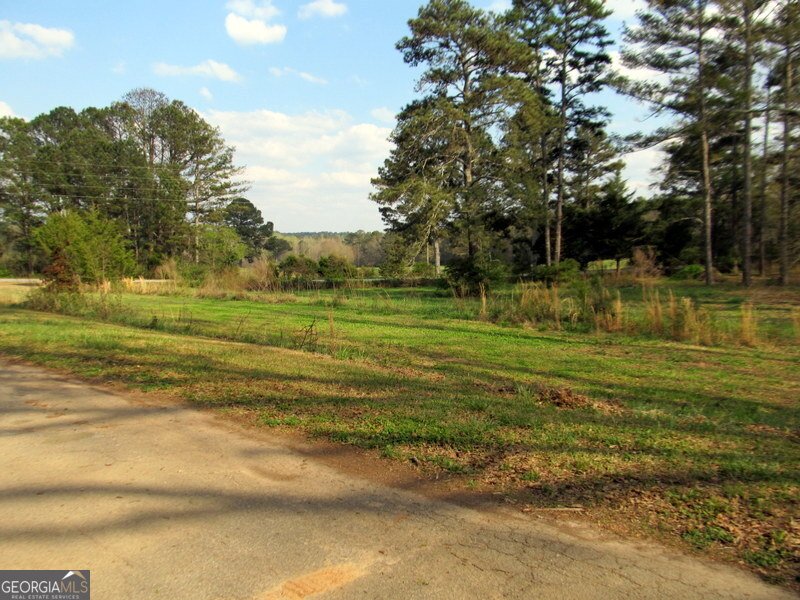 632 Flat Shoals Church Road Stockbridge - Photo 37