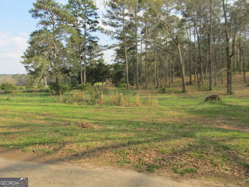 632 Flat Shoals Church Road Stockbridge - Photo 38