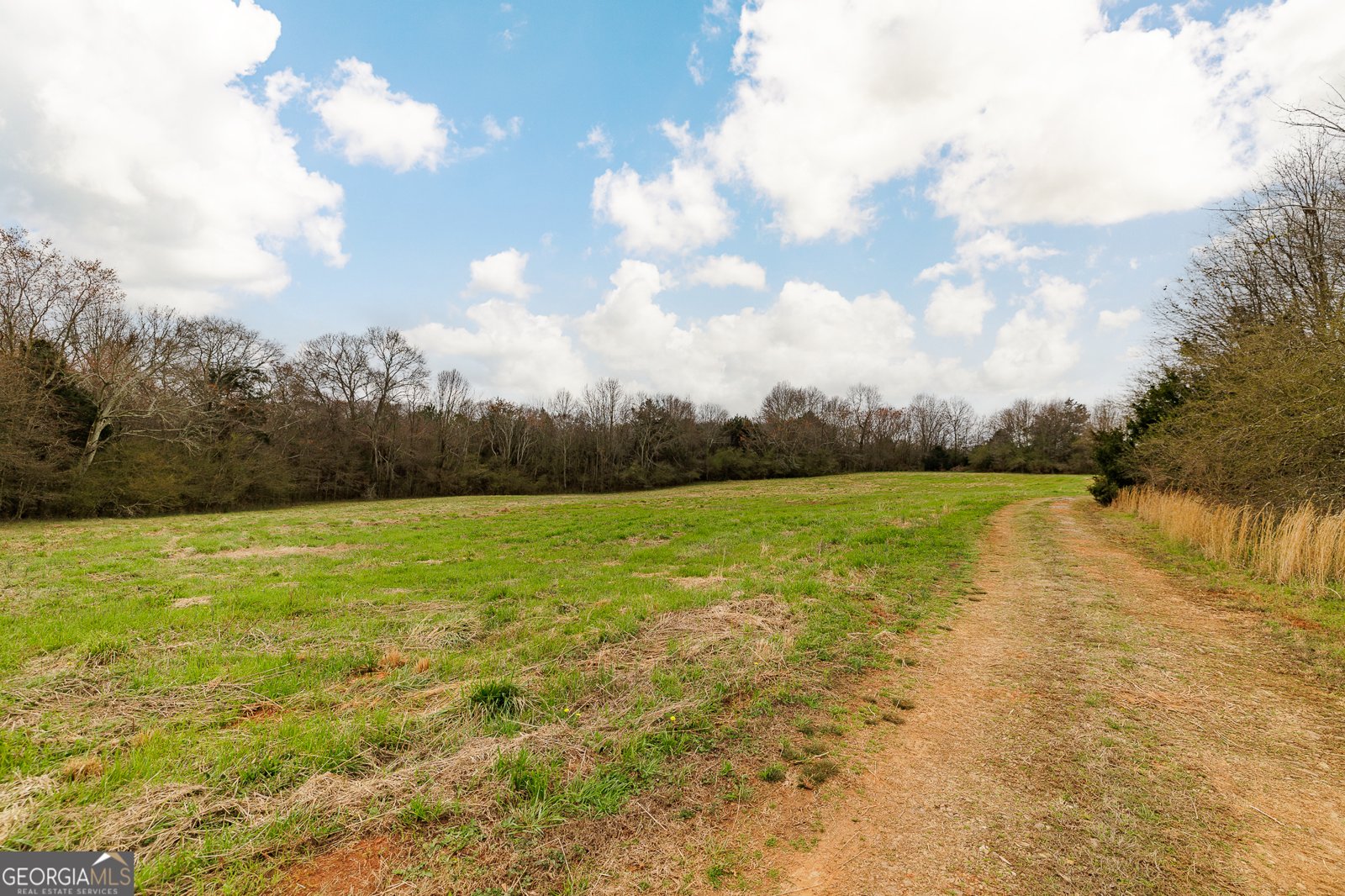 4115 Highway 191 Danielsville - Photo 39