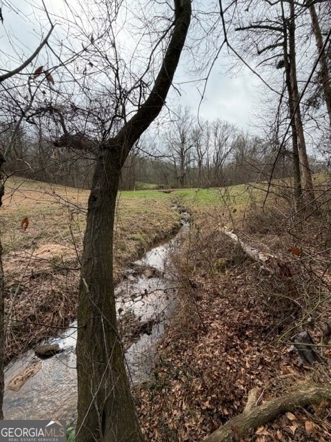 4115 Highway 191 Danielsville - Photo 42