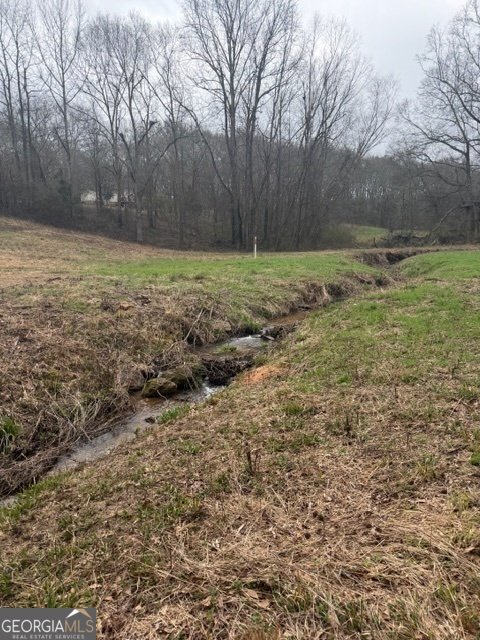 4115 Highway 191 Danielsville - Photo 43