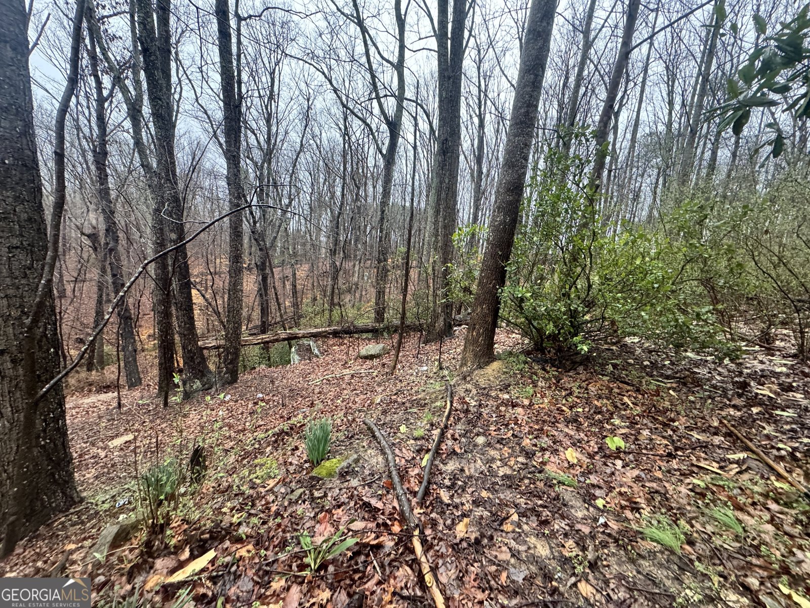 6238 Caprice Drive Flowery Branch - Photo 8